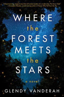 Nature in Fiction: An interview with Glendy Vanderah