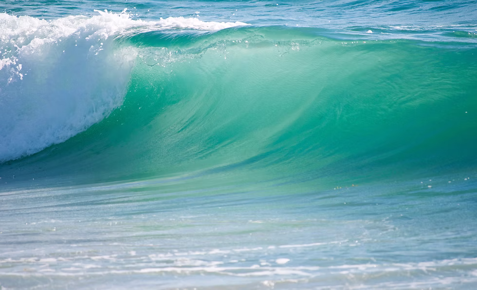An ocean wave. Photo: rkirbycom (public domain)