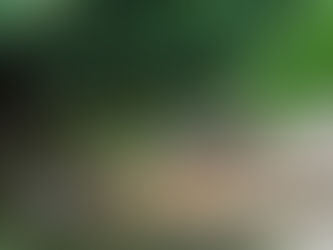 A Giant Announcement!