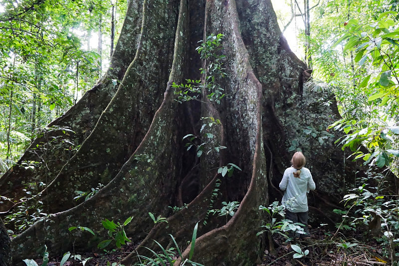 The Avatar, Cocha Cashu. Photo: Jessica Groenendijk