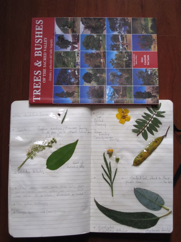 Nature Journal