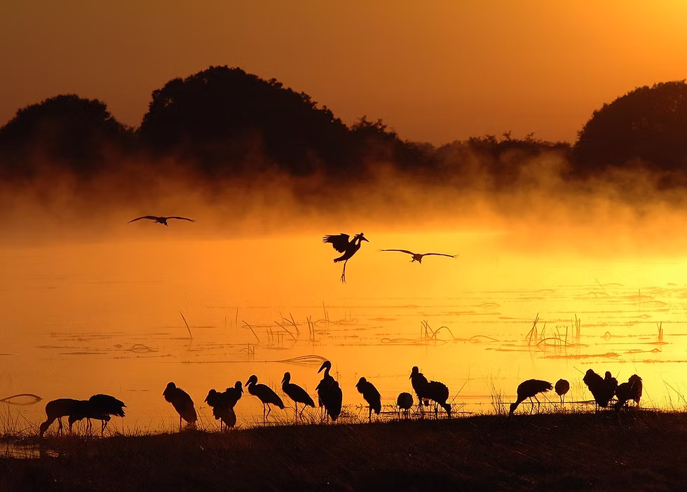 Dawn in Africa. Photo: Jessica Groenendijk, Words from the Wild